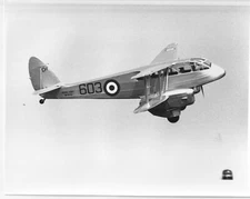 Orig Photo DeHavilland Dragon Military 1944 Biplane Aircraft Royal Navy 603 CH