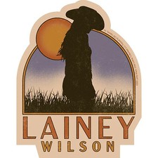 Stickers - C D Visionary - Lainey Wilson Dawn 4"x5" Music Band NEW Decal