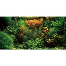 24x12 in Seagrass Aquarium Backdrop Aquatic Plant Fish Tank Background