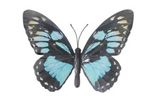 Large Metal Butterfly Wall Art - Light Blue and Black, Outdoor Garden Home Decor
