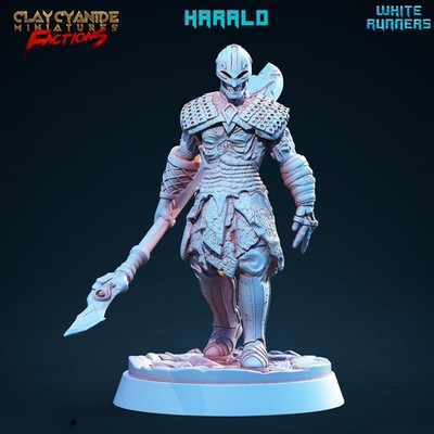 Nordischer Untoter Krieger Miniatur Skelett Wikinger Figur für RPG's wie D&D 5e