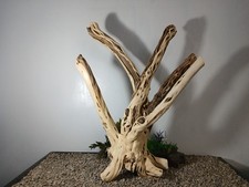 Driftwood aquarium fish  reptiles XLG 24x26" natural stump formation decor