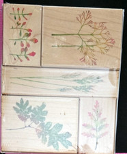 Hero Arts Rubber Stamp LL955 Woodland Leaves and Grasses Set of 5 Floral