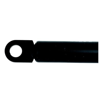 7-10'' Length 10lb Cap 10mm Socket 6mm Rod 15mm Cylinder Boat Hatch Lift Support