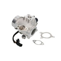 AGR Ventil Delphi EG10461-12B1