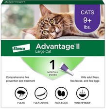 Advantage II Large Cat Vet-Recommended Flea Treatment  Prevention  Cats Over 9