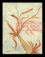 C PETERSON * Original Watercolor PAINTING * Abstract PALM WEED * Impressionist