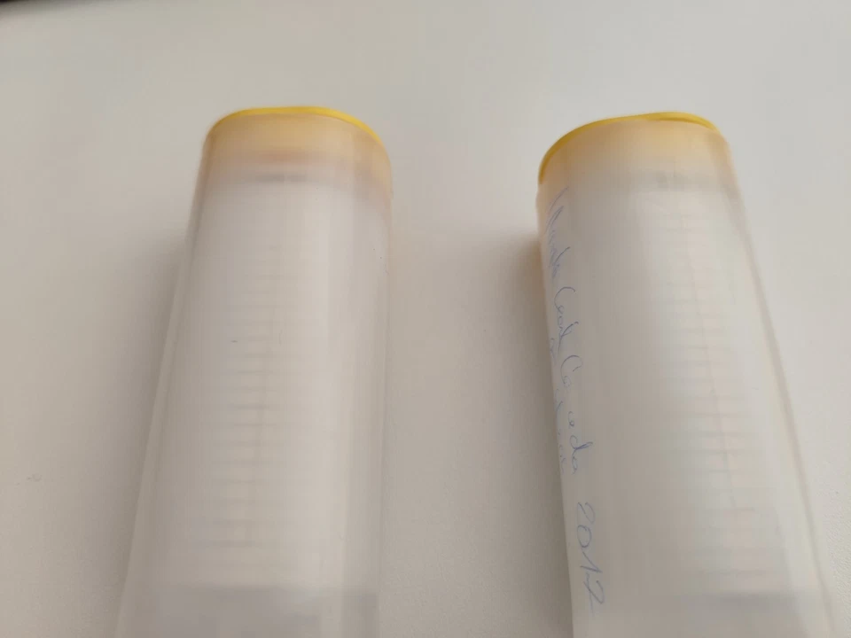 Silbermünzen Marple Leaf Canada 2017 50 Münzen - Bild 3 von 3