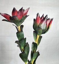 Artificial Protea Flower Bundle Of 3