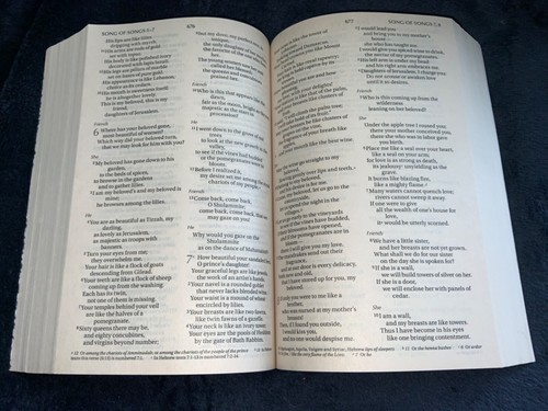 NIV HEILIGE BIBEL größerer Druck Taschenbuch EUC! - Bild 5 von 5