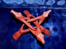 6" CARVED WOODEN DISPLAY STAND SEA SHELL DECOR CORAL CRAFT NAUTICAL BEACH