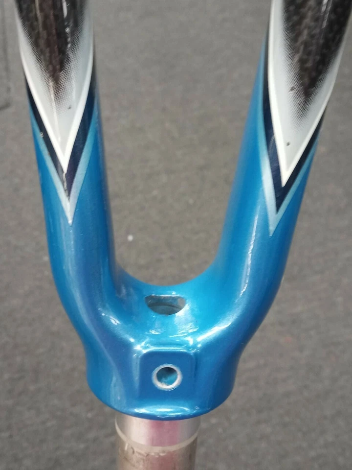 HORQUILLA DE CARRETERA RALEIGH CARBON COMPETITION 1 1/8" X SUPER LARGA 258 MM DIRECCIÓN 650C NUEVA  Foto 3 de 4