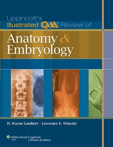 Lippincott's Illustrated Q&A Review of Anatomy and Embryology... - 9781605473154