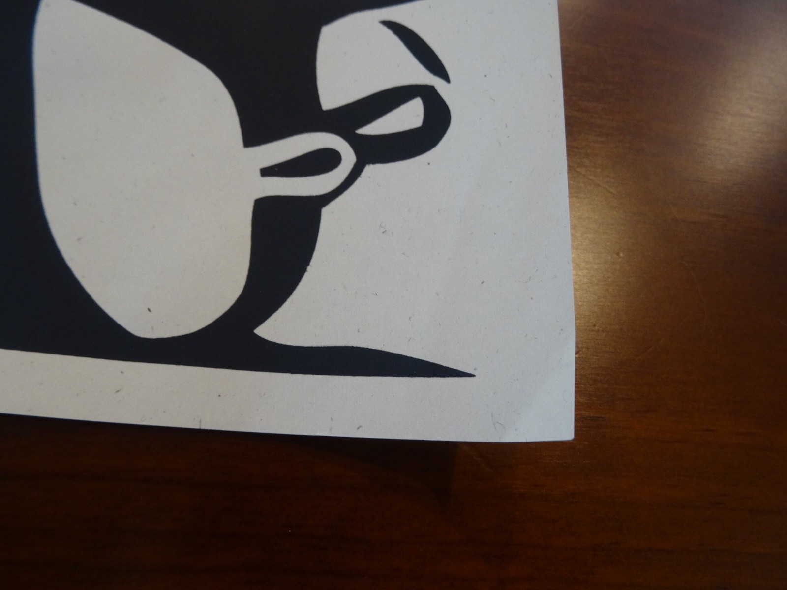 Picture 6 of 14