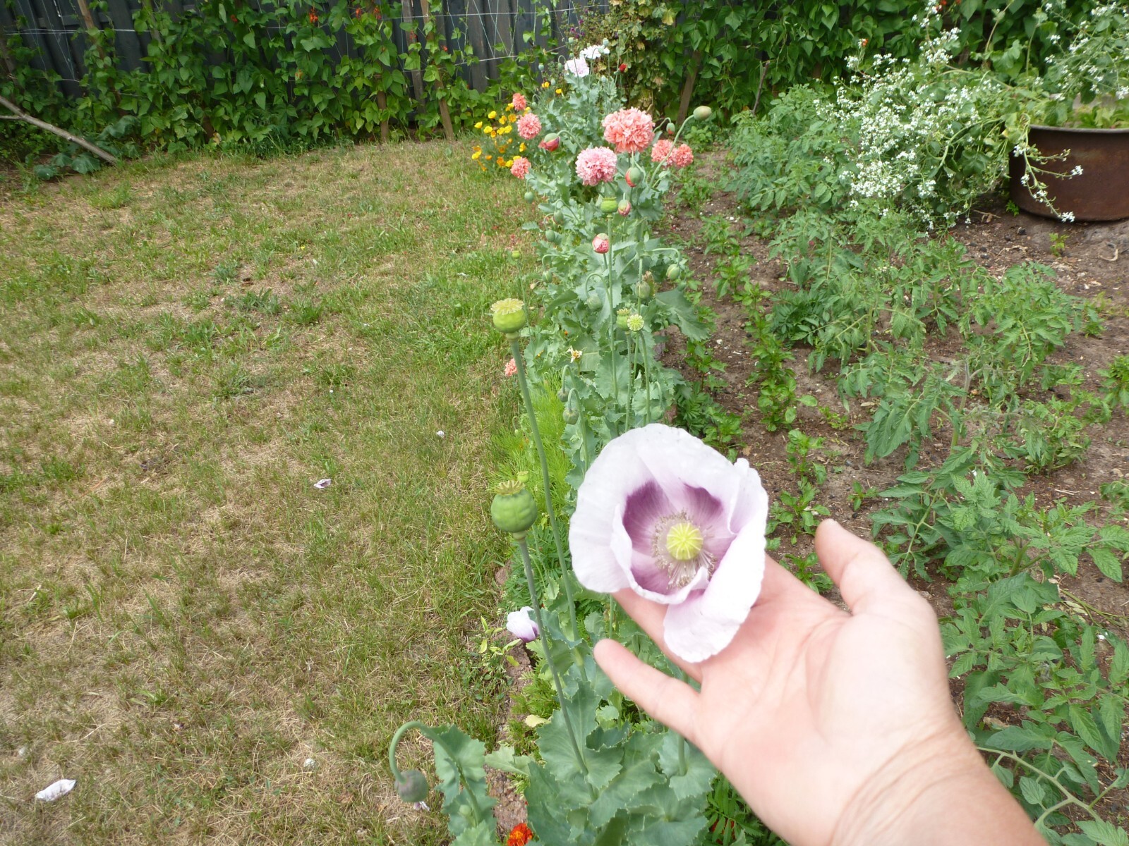 Bild 3 von 9