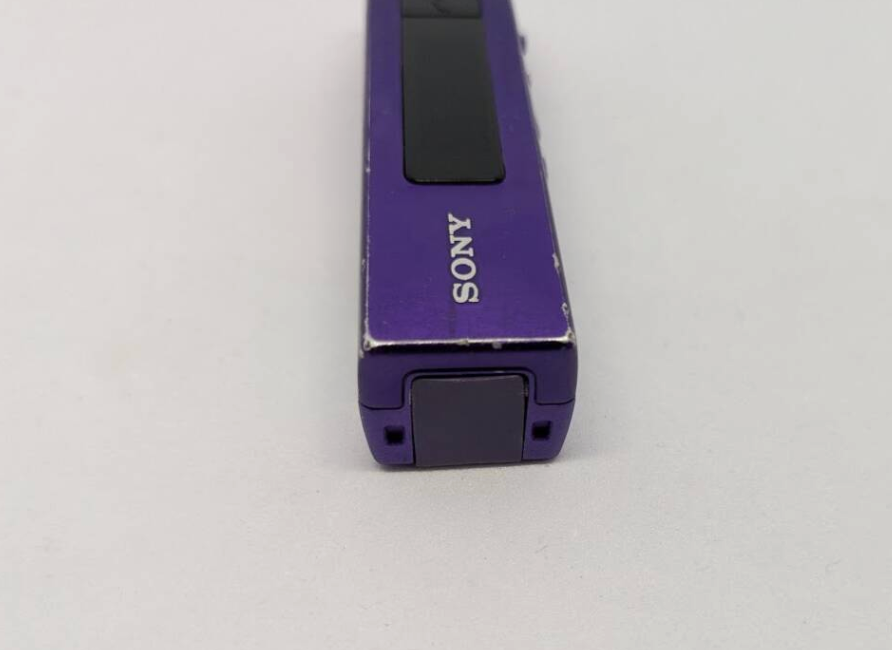 Sony Walkman NW-E507 Silver ( 1 GB ) Digital Media Player for sale