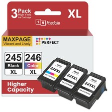 Ink Cartridges 245 246XL for Canon Pixma TS202 TS3100 TR4500 MX490 MG2920