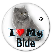  I LOVE MY RUSSIAN BLUE KITTEN CAT 3" SAFETY PIN BACK BUTTON