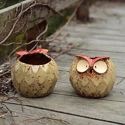 Owl Planter Ceramic Succulent Plant Pot Fun Animal Flower Container - Picture 5 of 8