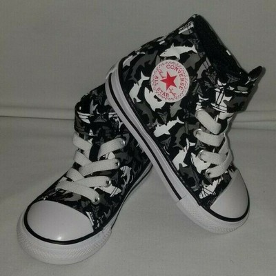 infant shark converse