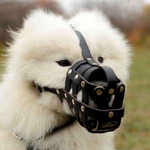 best muzzle for husky