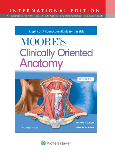Moores Clinically Oriented Anatomy Inter