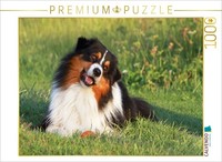 Calvendo Puzzle An Image From The Calendar *Australian Shepherd: Herding Dogs Wi