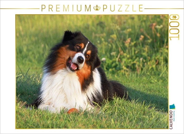 Calvendo Puzzle An Image From The Calendar *Australian Shepherd: Herding Dogs Wi-image