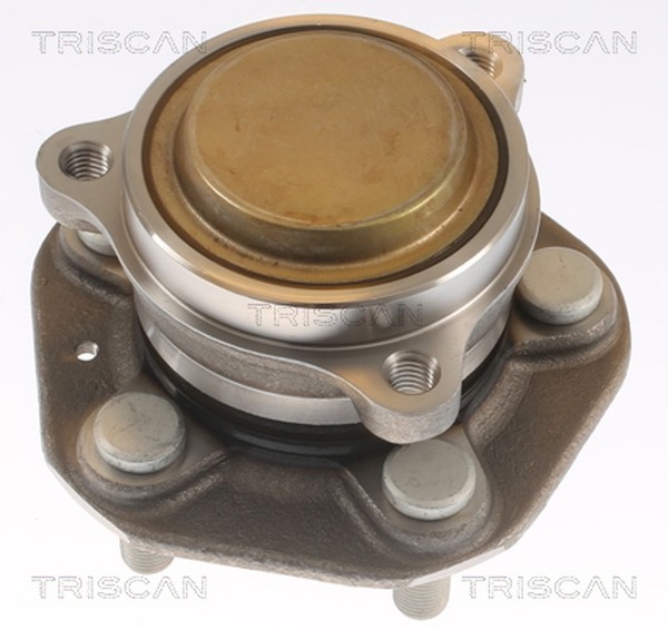 Triscan Radlagersatz 8530 81102 FüR Tesla Model Heckantrieb Long Range-image