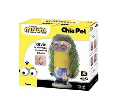 New in Box Minions: The Rise of Gru Hippie Kevin Handmade Chi Pet Planter