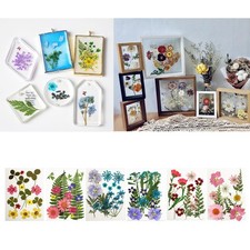 13x Dried Flower Embellisments for Resin Soap DIY Candle Making