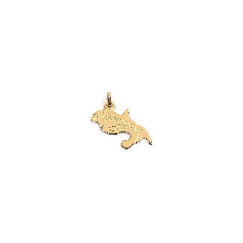 Pendentif Martinique en plaqué or 750/000 pour femme avec sa carte de l'île ciselée