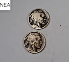 1919-D+1921 Buffalo Nickel Set/Lot ~ 2 Coins ~ ZBL28