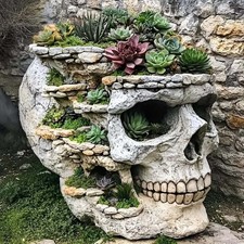 Skull Diamond Art Kits for Adults,Skull Succulent Diamond Painting Kits for B...