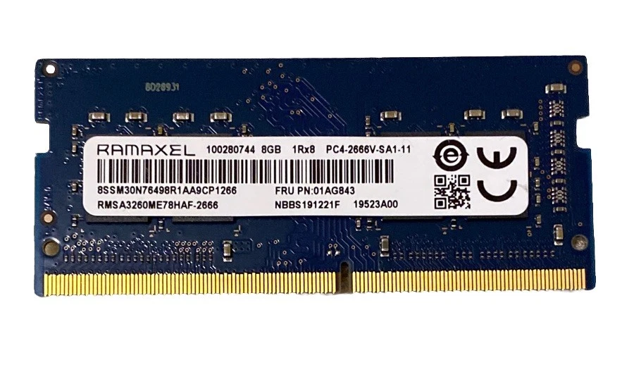 Ramaxel PC4-21300 (DDR4-2666) Bus Speed DDR4 SDRAM Memory (RAM