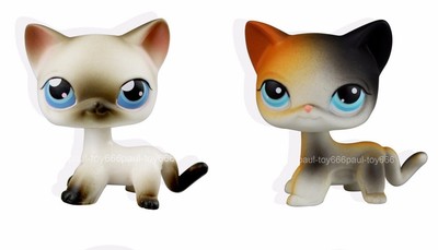 rainbow cat lps