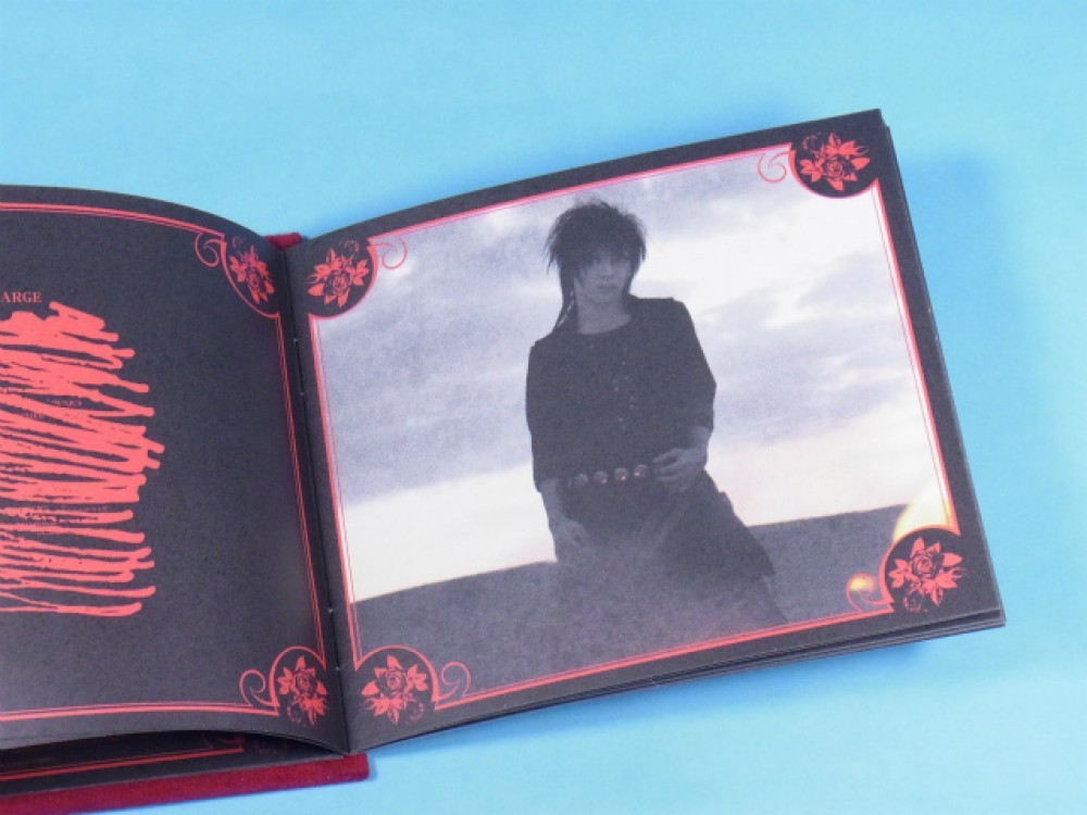 the GazettE NIL First Press Limited Edition CD DVD Visual Ruki | eBay
