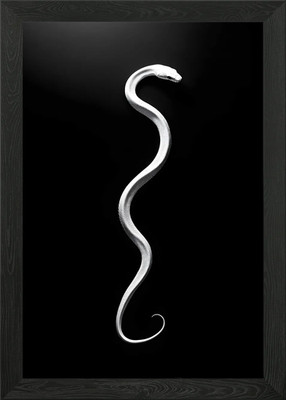 Tier weiße Ratte Silhouette auf einem bl gerahmten Wandbild Poster Leinwanddruck Bild