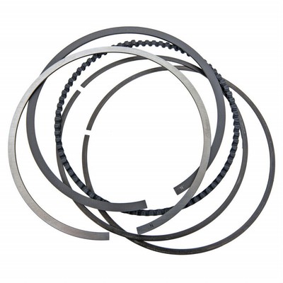 Wiseco Piston Kit 1992 - 2008 Honda TRX 300 EX 74mm 11:1