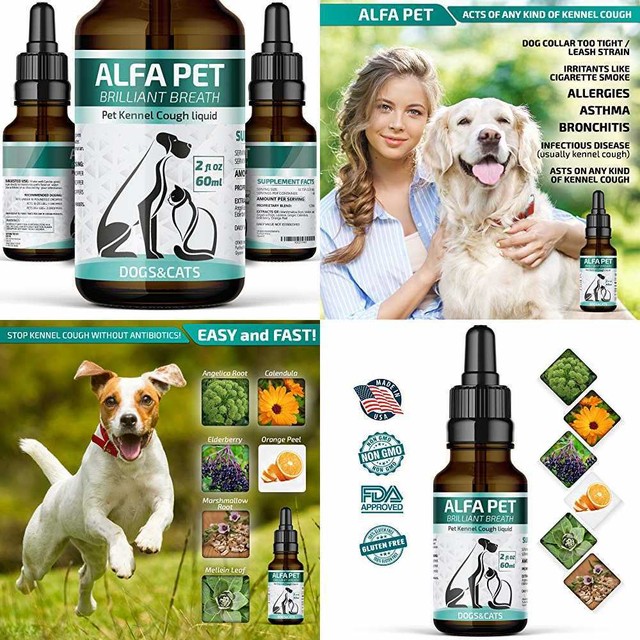 Cough medicine for my dog