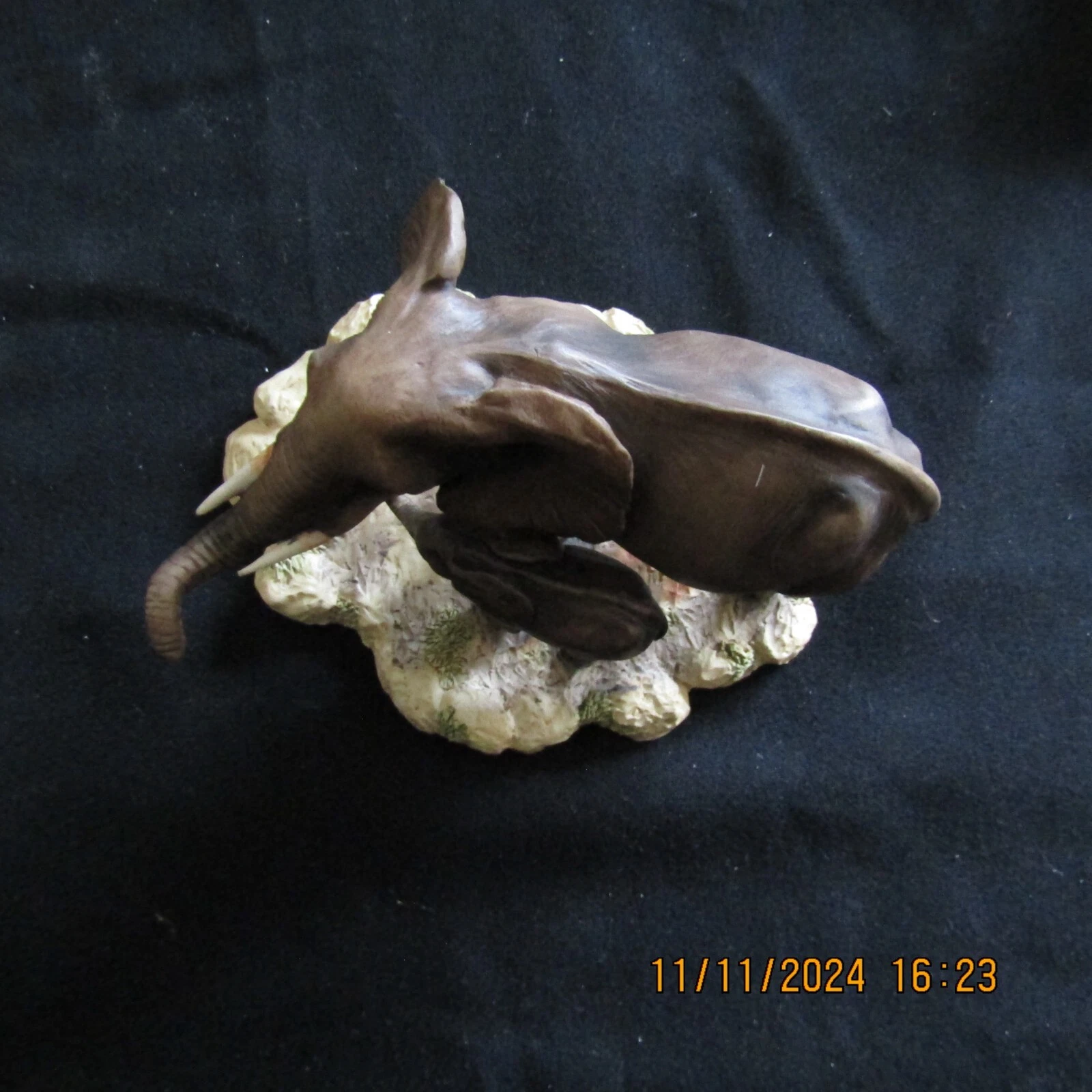 Picture 6 of 8