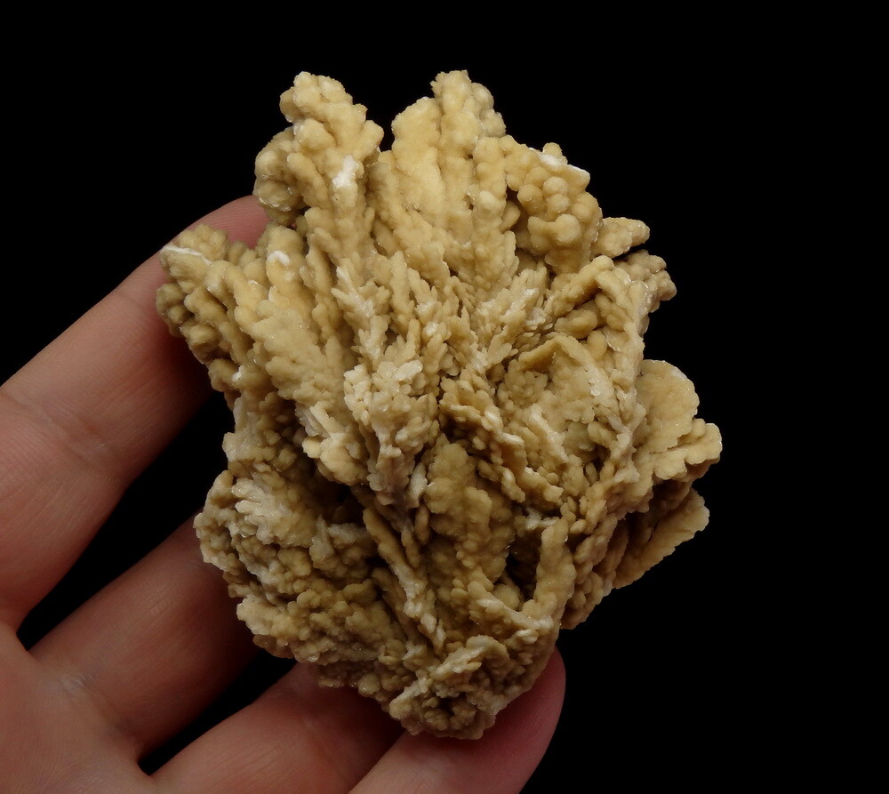 Picture 4 of 12