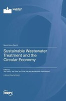 Sustainable Wastewater Treatment And The Circular Economy | Buch | Englisch