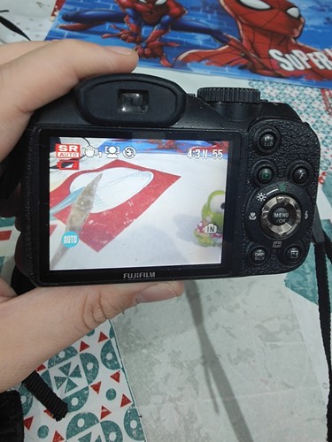 Fotocamera Fujifilm FinePix S1600 - Foto 19 di 23