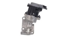 Valeo 700411 Agr-Ventil Hinten Rechts FüR CitroËN Jaguar Land Rover Peugeot