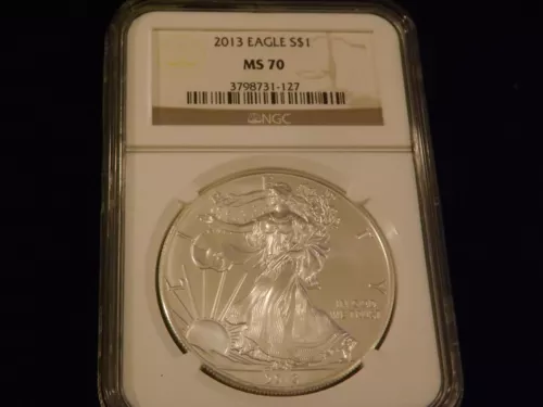 2013   $1      Eagle        NGC  MS 70