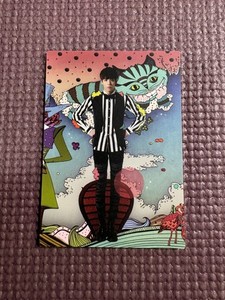 Shinee in Wonderland | eBay