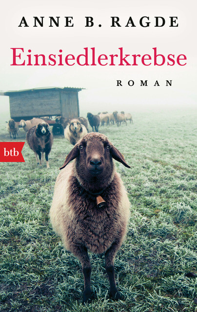 Thumbnail - Ragde Anne B. Einsiedlerkrebse. Taschenbuch