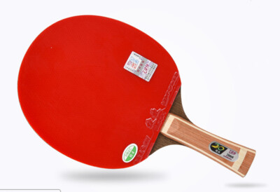 729 Friendship pips-in Table Tennis Paddle RITC2060 Bloom, with Case, New, USD