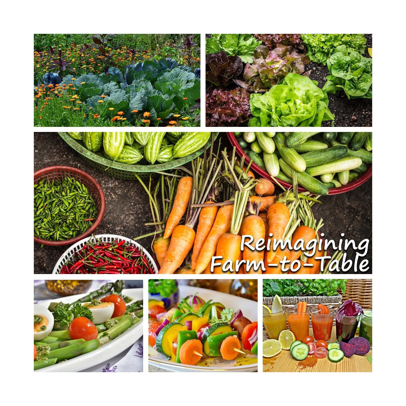 Mountain Valley Seed Company Vegetable Garden Can 50,000+ Seeds 16 Varieties ...